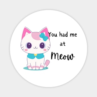 YOU HAD ME AT MEOW! Cute Kitty Cat For Ladies Magnet